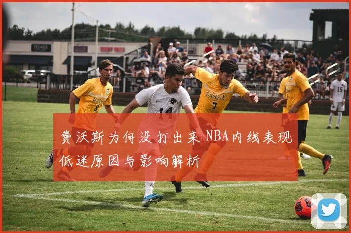 费沃斯为何没打出来 NBA内线表现低迷原因与影响解析