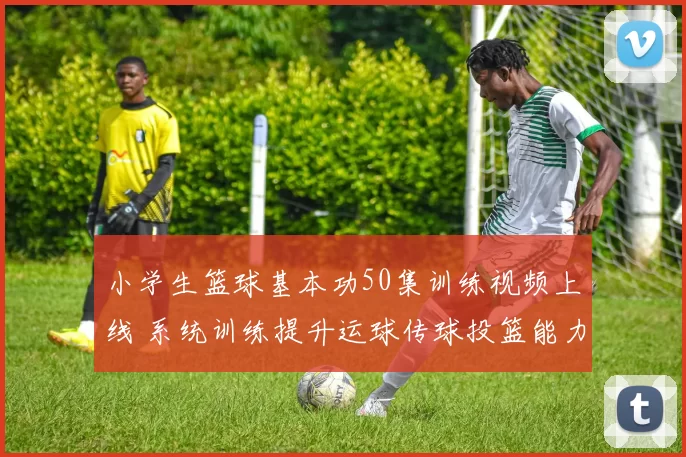 小学生篮球基本功50集训练视频上线 系统训练提升运球传球投篮能力