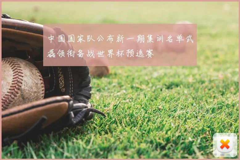 中国国家队公布新一期集训名单武磊领衔备战世界杯预选赛