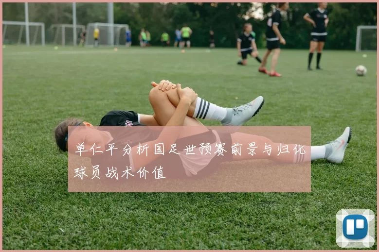 单仁平分析国足世预赛前景与归化球员战术价值