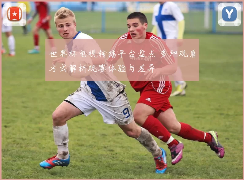 世界杯电视转播平台盘点 多种观看方式解析观赛体验与差异