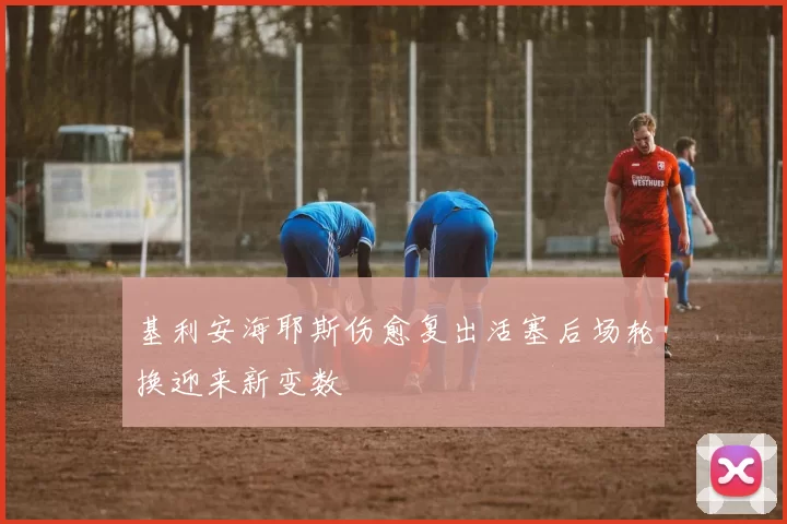 基利安海耶斯伤愈复出活塞后场轮换迎来新变数